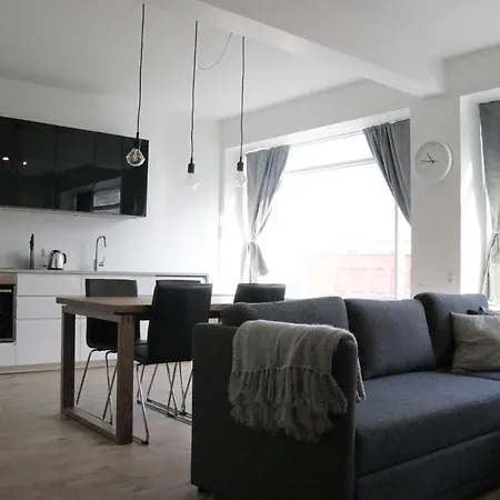Odinn Skolavordustigur Apartment Reykjavik