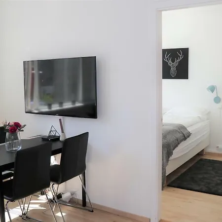 Odinn Skolavordustigur Apartment Reykjavik
