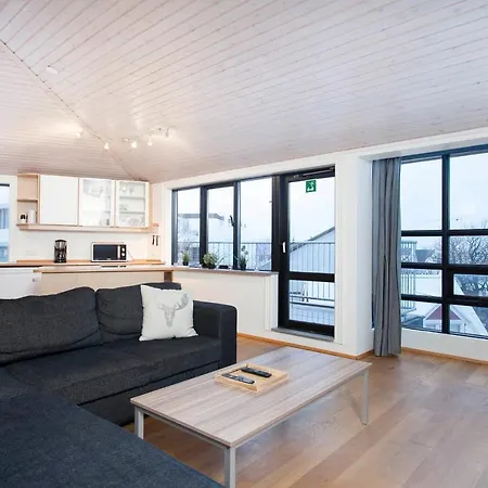 Odinn Skolavordustigur * Reykjavík