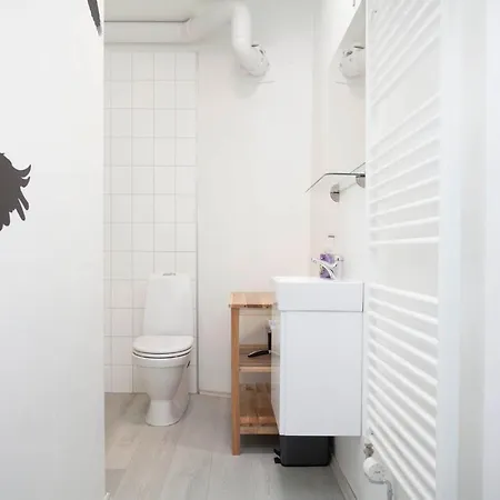 Odinn Skolavordustigur * Reykjavík